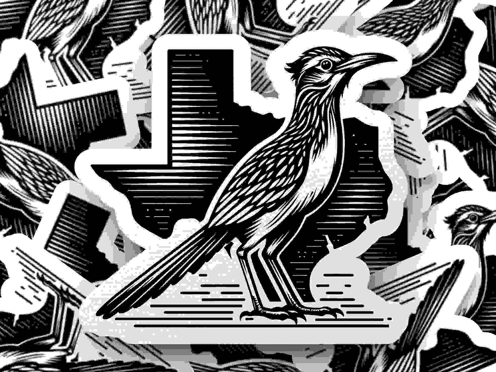 Texas Road Runner SVG & PNG - Western State Outline Digital Design for Print & Craft