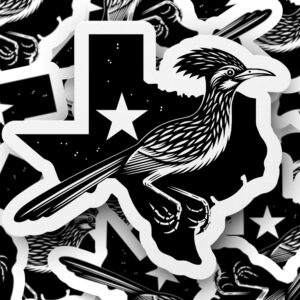 Texas Road Runner SVG & PNG - Western State Outline Digital Design for Print & Craft