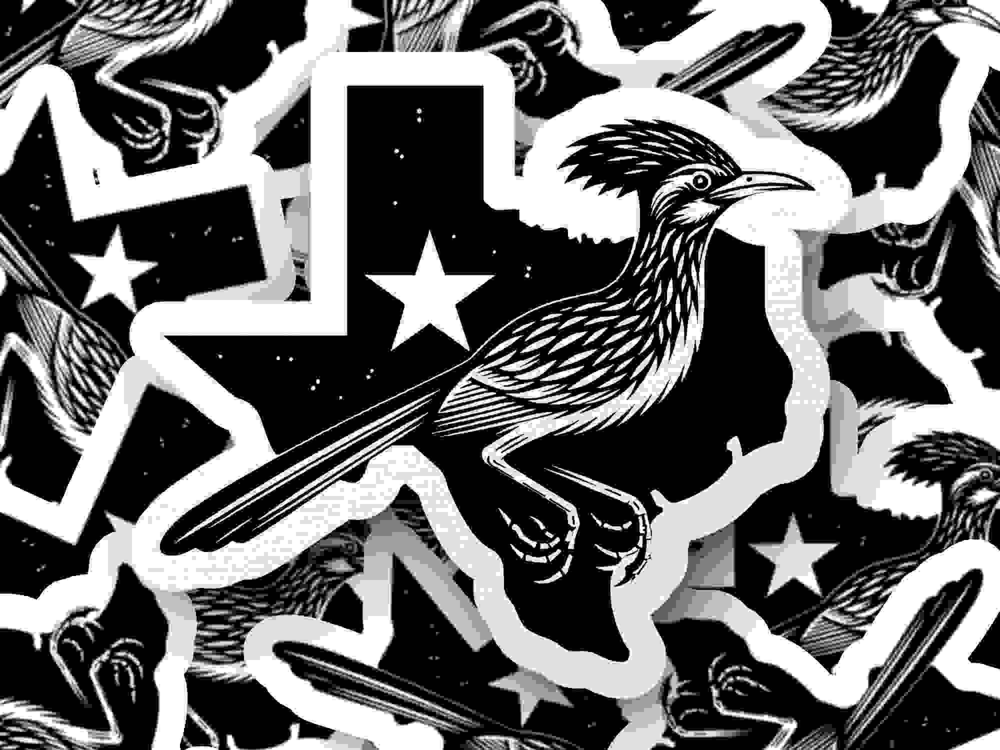Texas Road Runner SVG & PNG - Western State Outline Digital Design for Print & Craft